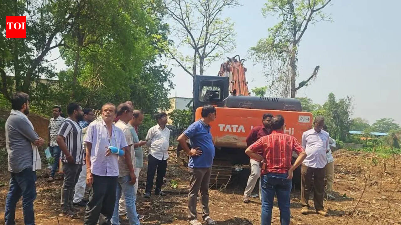 Plea for NGT lens on ‘tree-felling’ for project