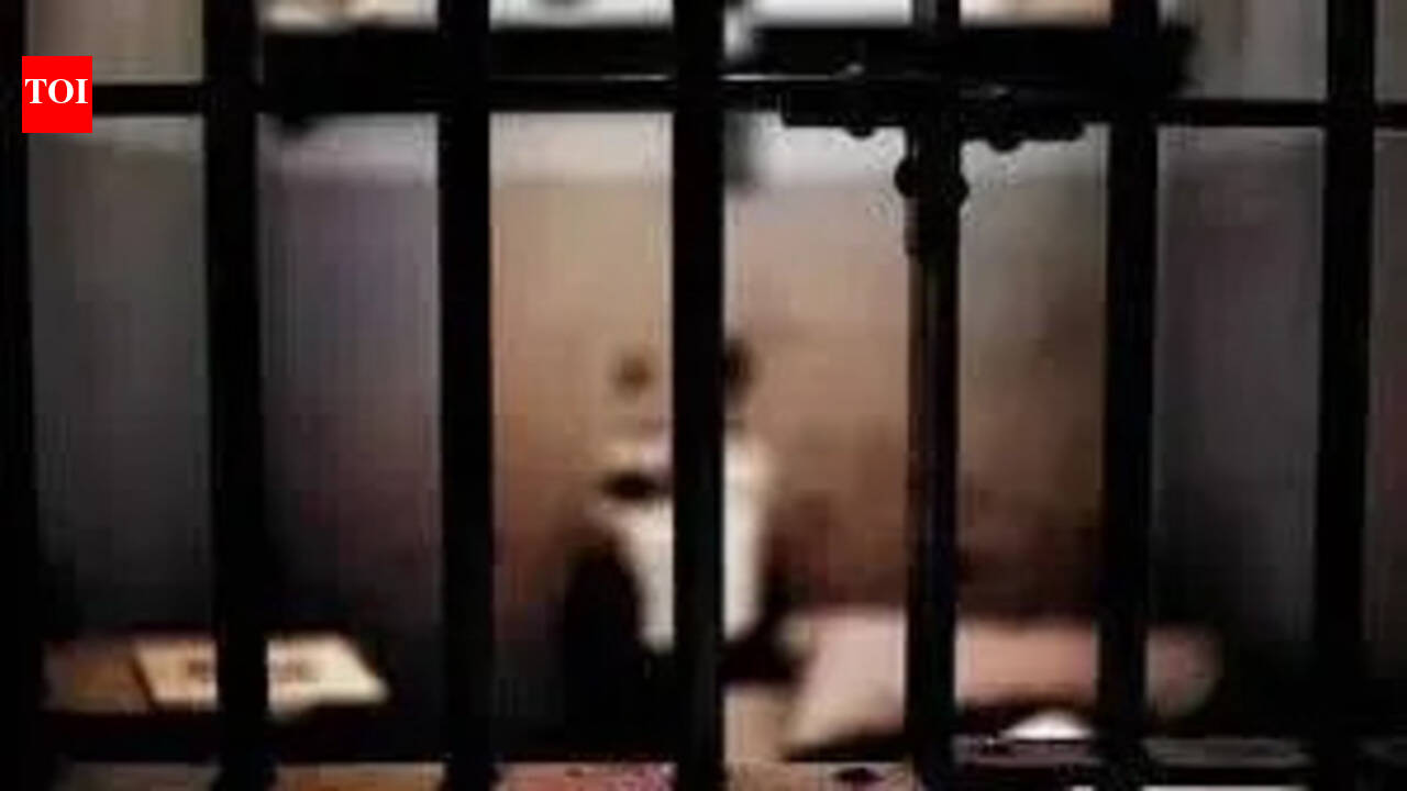 Immigration Fraud: Court sentences agent to 3 years, imposes over Rs 1L lakh fine