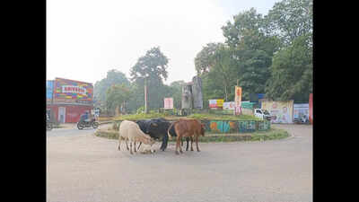 Mandrem to install statues of Ambedkar, Parashuram