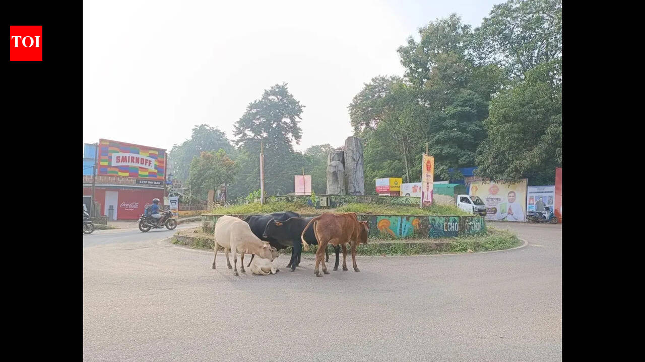 Mandrem to install statues of Ambedkar, Parashuram