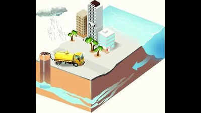 Forget groundwater, tap surface runoff, says hydrogeologist at film festival in Bengaluru