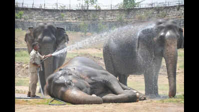 Telangana mandals report over 1,500 heat wave cases in 10 years
