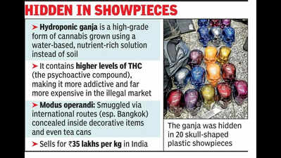 ‘Hydroponic’ ganja worth 3.5 cr seized at airport