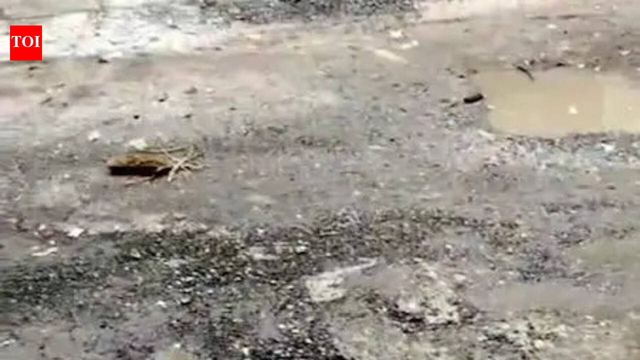 Potholes, cracks & flood: Roads here will test your driving skills