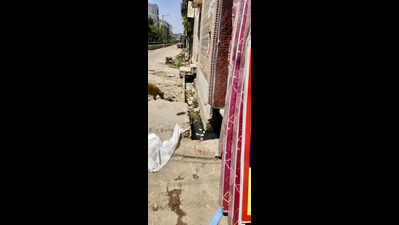 Muck tops here: Drains in Shalimar Garden clogged, waste yet to be lifted