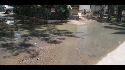 Waste piles up, roads damaged: Tempers rise in Sushant Lok-1