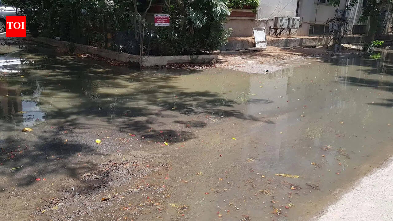 Waste piles up, roads damaged: Tempers rise in Sushant Lok-1