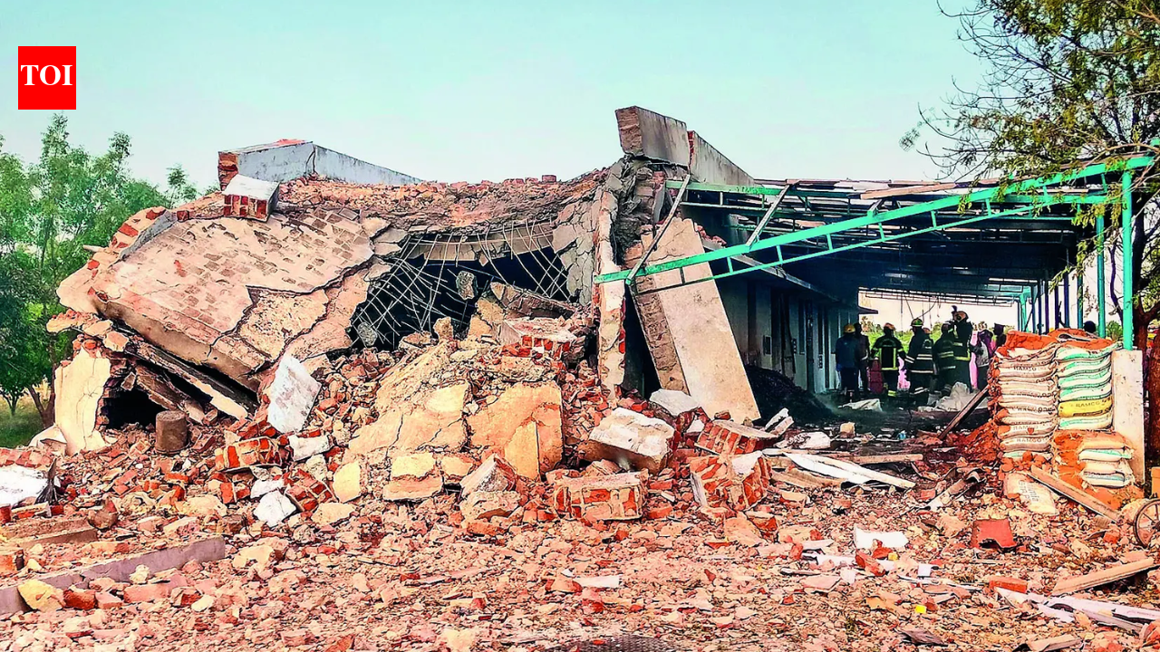 23 dead, 6 injured in massive blast at Tamil Nadu firecracker unit; owner on the run, licence may be cancelled