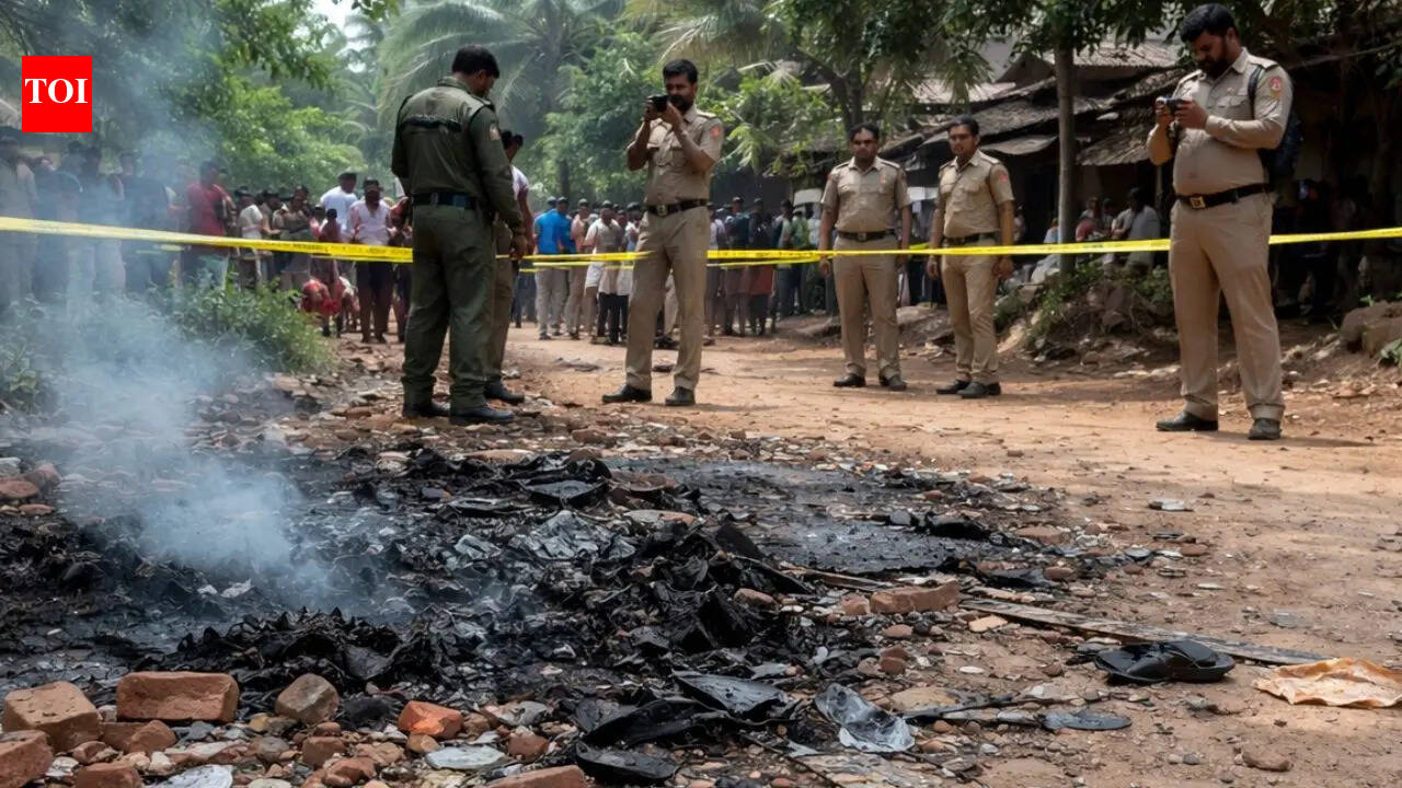 Country-made bomb explodes in Andhra Pradesh