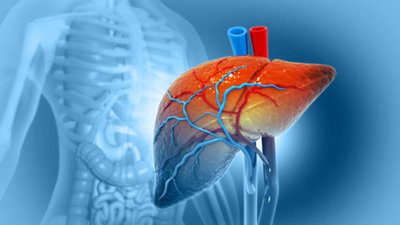 Why fatty liver is becoming India’s most common liver condition