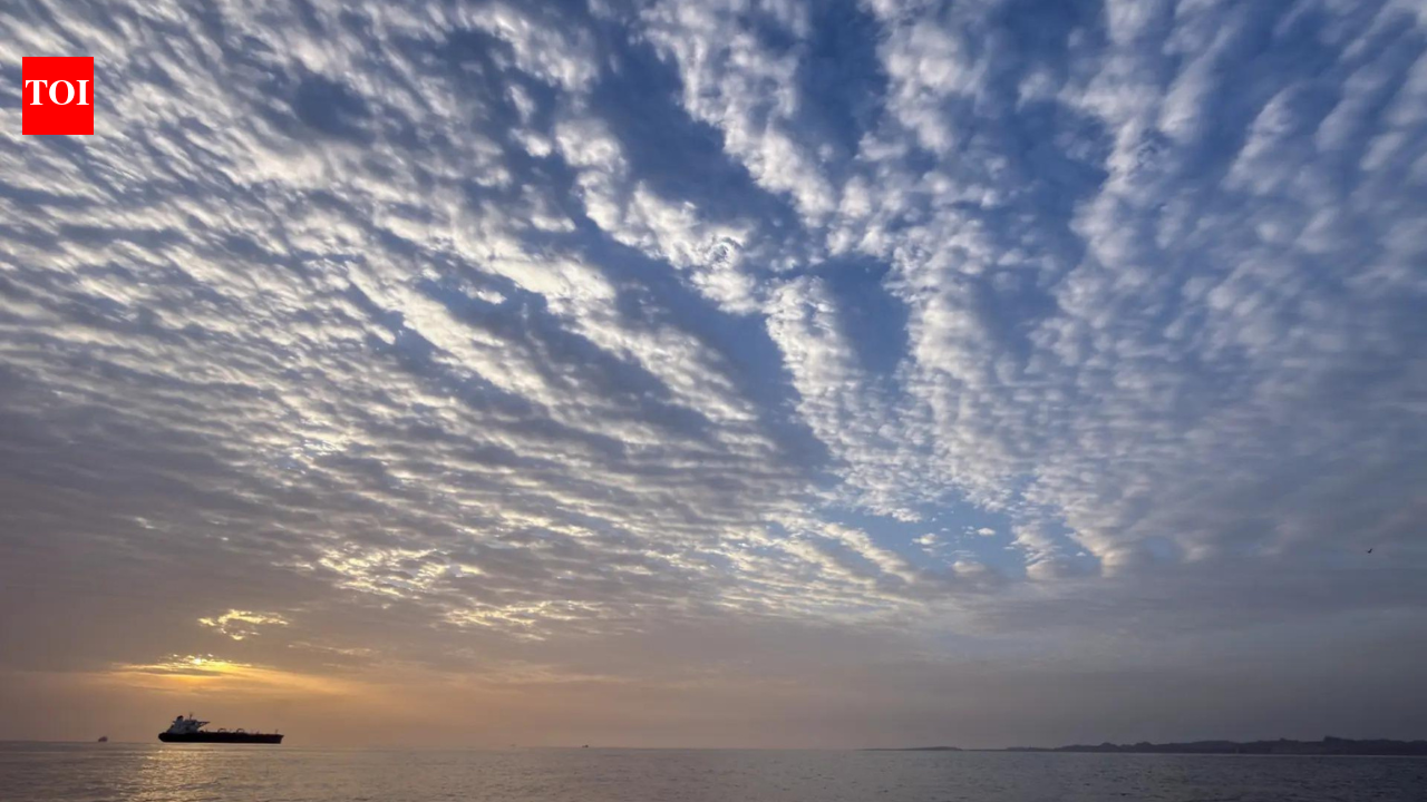 Is Hormuz still operational? How gunfire, vessel seizure are testing the Iran-US ceasefire