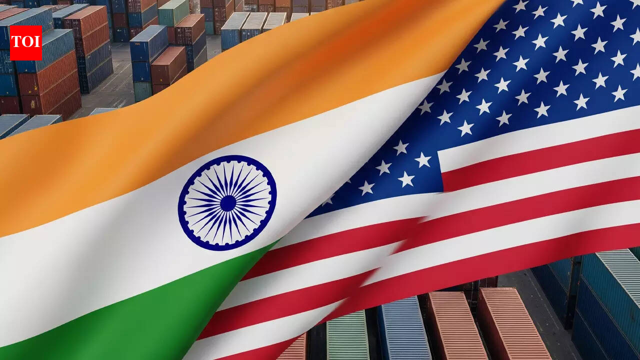 'A win-win for both nations!' Three-day India-US trade talks to begin this week