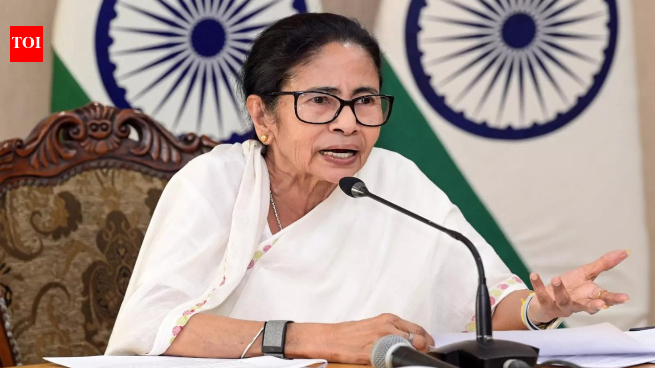 'CMs should get some priority': Mamata Banerjee claims flight held up for 30 mins;  'non-cooperation' from central agencies