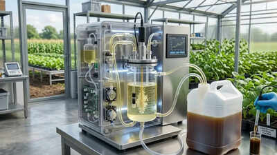 Turning waste into wealth: New study finds that human urine can turn into low-energy fertiliser