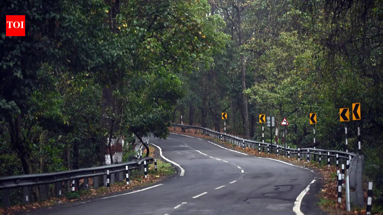 Jolly Grant expansion proposal gets nod for forest diversion with riders