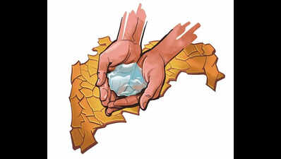 Thane revives old wells to ease water shortage issues