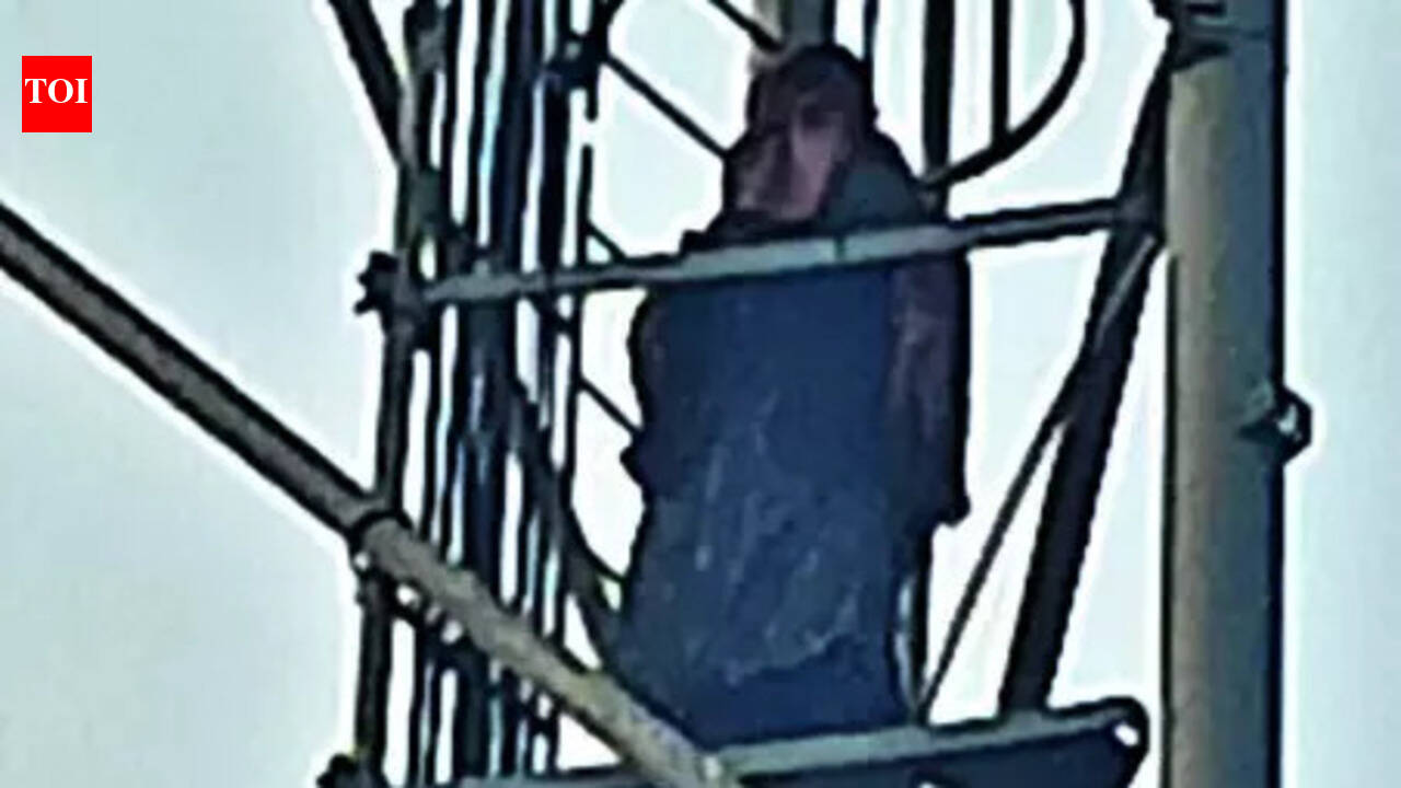 Upset over estranged wife, man climbs mobile tower in Samastipur