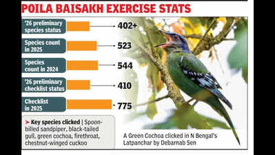 Poll duty takes toll on birders, hits Bengal’s summer avian count