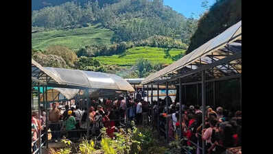 Eravikulam National Park reopens to massive crowds