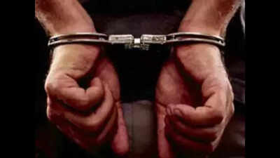 Goa cops arrest man from Odisha in Saligao double murder case