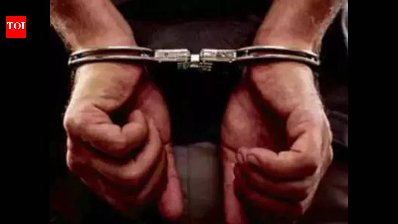 Goa cops arrest man from Odisha in Saligao double murder case