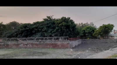 NGT issues next hearing date after joint committee flags severe environmental violations in Jhansi’s historic Laxmi Tal
