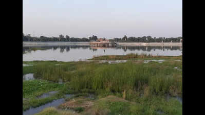 NGT issues next hearing date after joint committee flags severe environmental violations in Jhansi’s historic Laxmi Tal