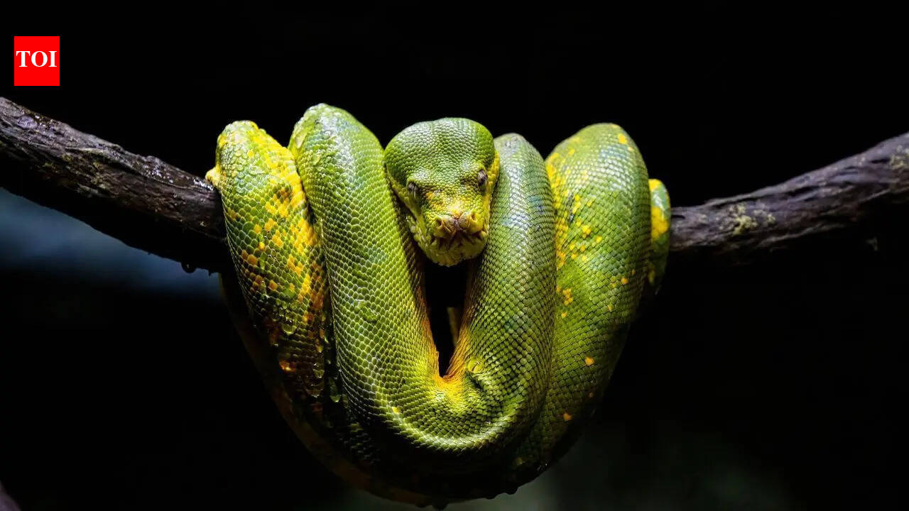 The Australian vibe: Where man and wild are in harmony