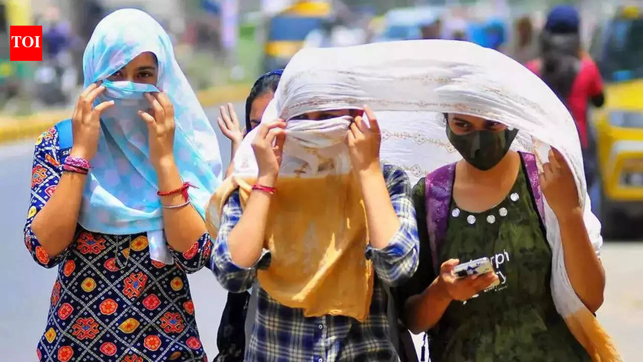 Numbers back what you already felt: Delhi hotter by 2.8 degrees in 11 years
