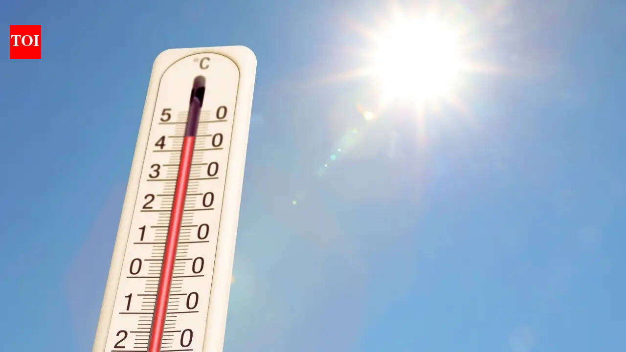 Travel advisory for India: IMD warns of heat wave in several states; rain, thunderstorms likely across several regions