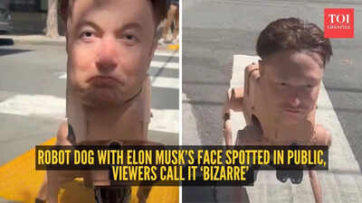 Robot dog with Elon Musk’s face spotted in public, viewers call it ‘bizarre’