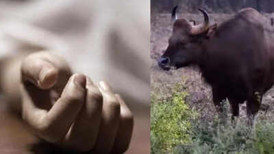 2 women killed in suspected wild Bison attack in Jharkhand's Latehar