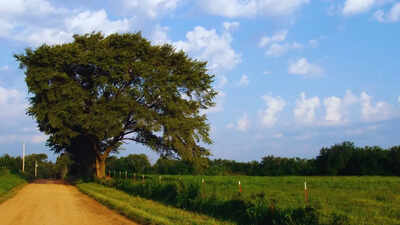 Why travelling to Bihar should be on your bucket list: Bonus - It has the city that recently recorded India’s lowest AQI