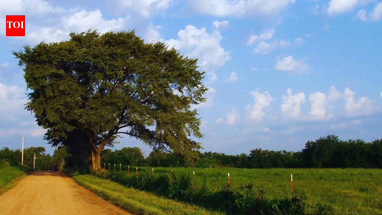 Why travelling to Bihar should be on your bucket list: Bonus - It has the city that recently recorded India’s lowest AQI