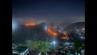 2 wildfires ravage Nainital forests, officials on alert