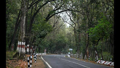 Jolly Grant expansion proposal gets nod for forest diversion with riders
