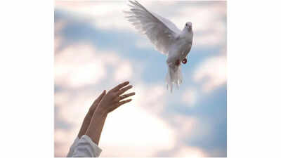 Emraan Hashmi and Disha Patani's 'Awarapan 2' set for August 14 theatrical release