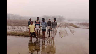 Haryana plans nature camp, green corridor in Nuh