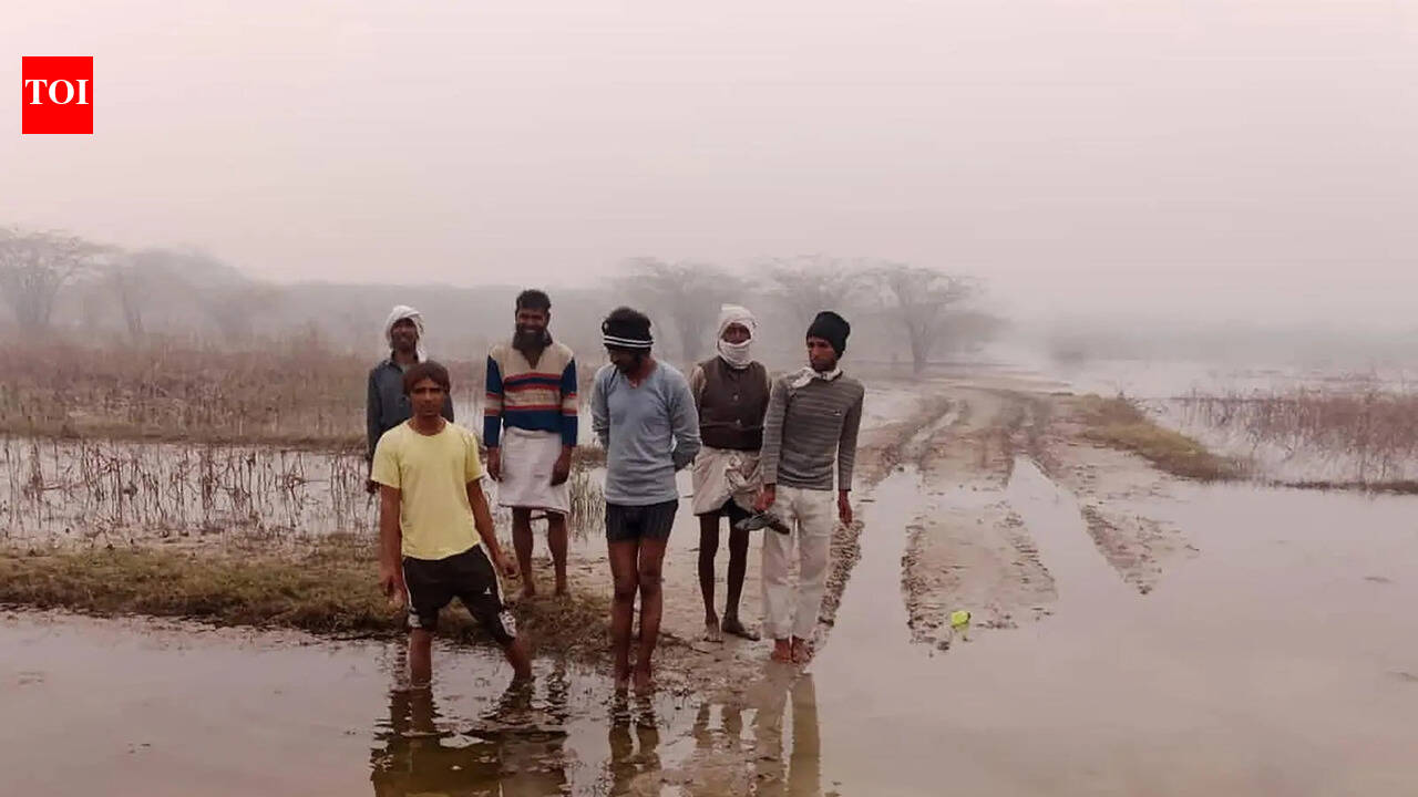 Haryana plans nature camp, green corridor in Nuh