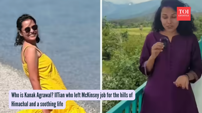 Who is Kanak Agrawal? IITian who left McKinsey job for the hills of Himachal and a soothing life