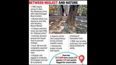 PMC to hold survey of dangerous trees, activists call it delayed action