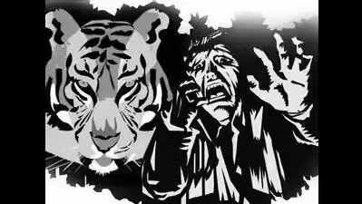 8-year-old Thane boy killed in leopard attack