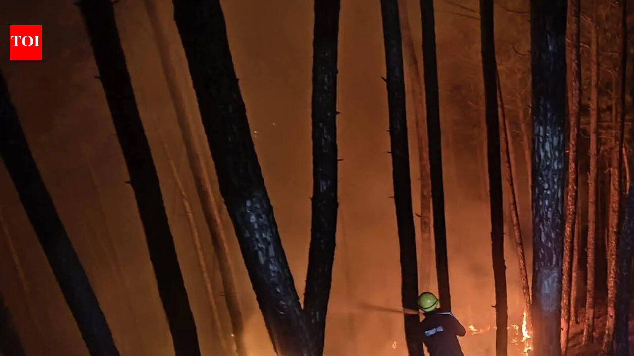 63 ha gutted in 111 forest fire incidents since Feb