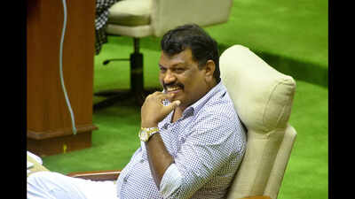 After stiff oppn, Lobo says few trees will be cut for road upkeep