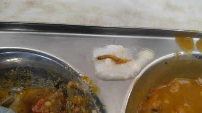 'Insects in food': Protest at Lady Hardinge