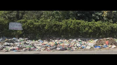Trading in trash: Ludhiana’s industrial hubs turning dumps