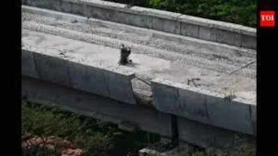 MMRDA retains consultant for Metro 4, fixes blame on welder error