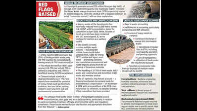 All’s not well; NGT amicus flags pollution in Chandigarh drains