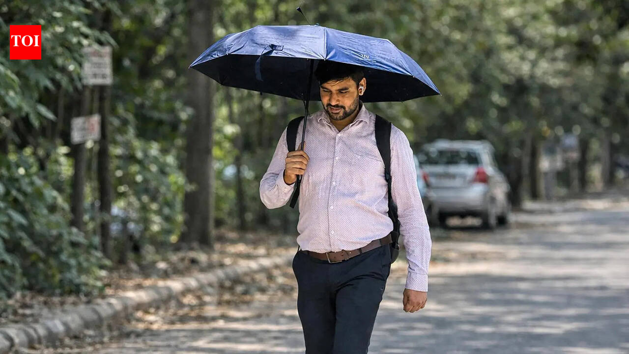 Gurgaon at 41°C, Faridabad hottest at 42.9°C, heatwave to intensify