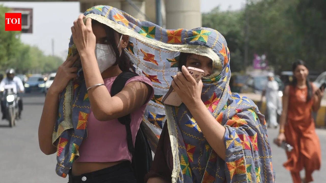Heat effect: Temp to stay above 40°C, classes in govt schools to start from 7.30am
